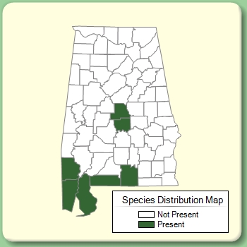 Species Distribution Map