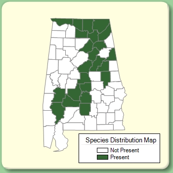 Species Distribution Map