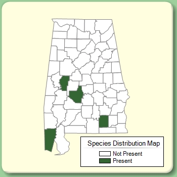 Species Distribution Map