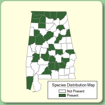 Species Distribution Map