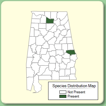 Species Distribution Map