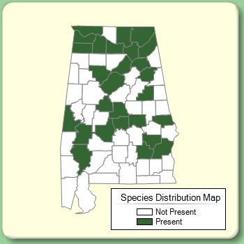 Species Distribution Map