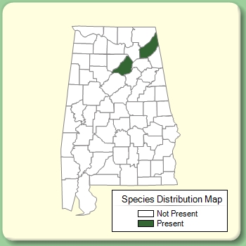 Species Distribution Map