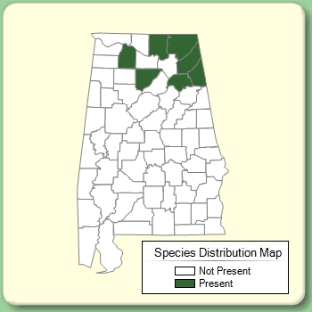 Species Distribution Map