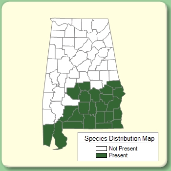 Species Distribution Map