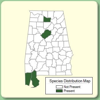 Species Distribution Map