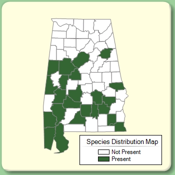 Species Distribution Map