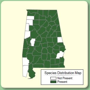 Species Distribution Map