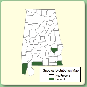 Species Distribution Map