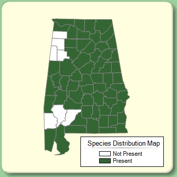 Species Distribution Map