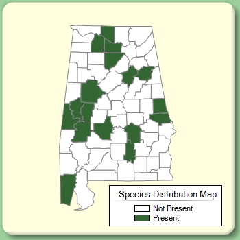 Species Distribution Map