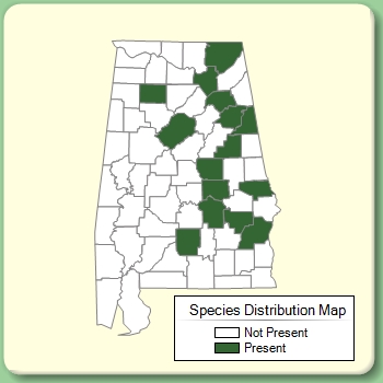 Species Distribution Map