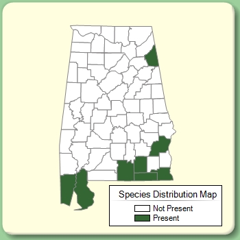 Species Distribution Map