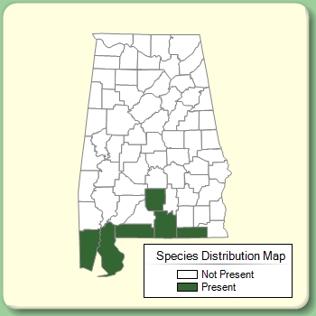 Species Distribution Map