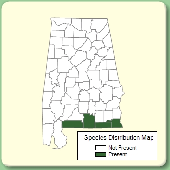 Species Distribution Map