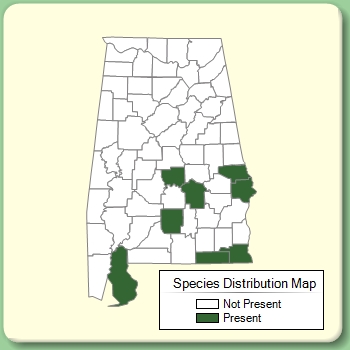 Species Distribution Map