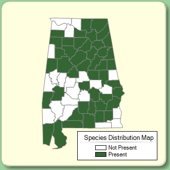 Species Distribution Map