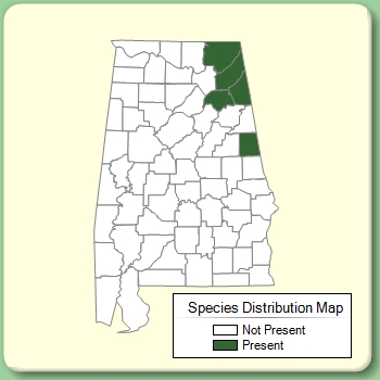 Species Distribution Map