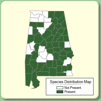 Species Distribution Map