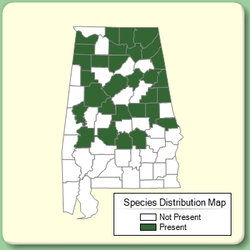 Species Distribution Map