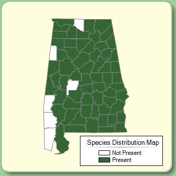 Species Distribution Map