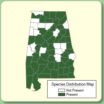 Species Distribution Map