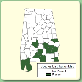 Species Distribution Map