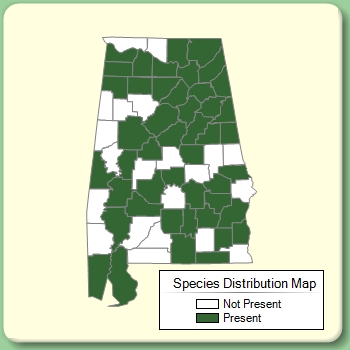 Species Distribution Map