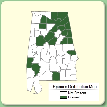 Species Distribution Map