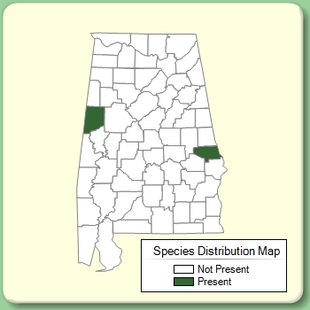 Species Distribution Map