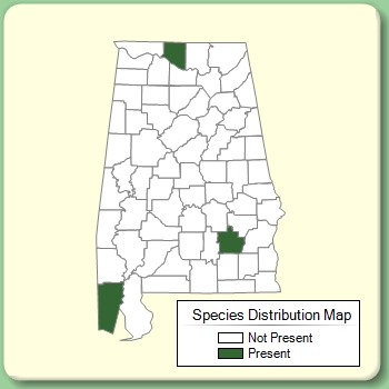 Species Distribution Map