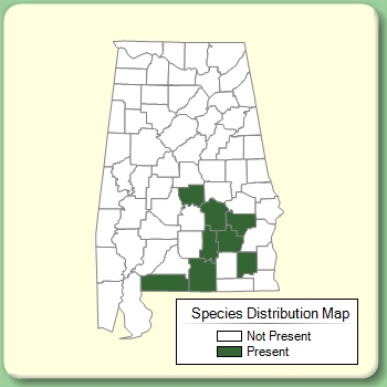 Species Distribution Map