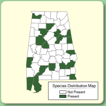 Species Distribution Map