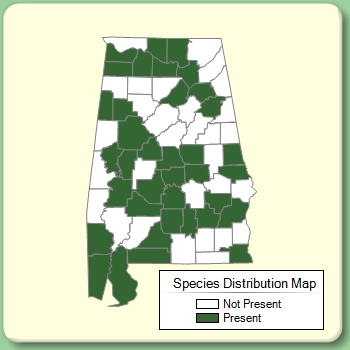 Species Distribution Map