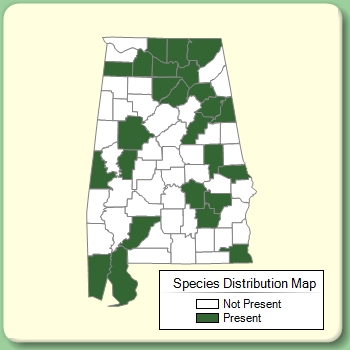 Species Distribution Map