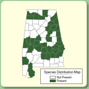 Species Distribution Map