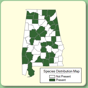 Species Distribution Map