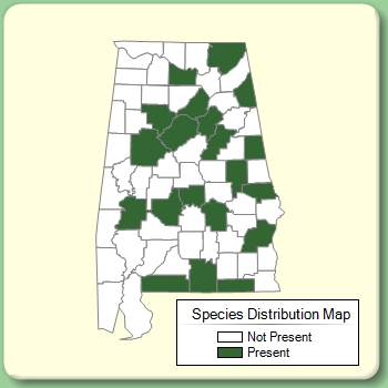 Species Distribution Map