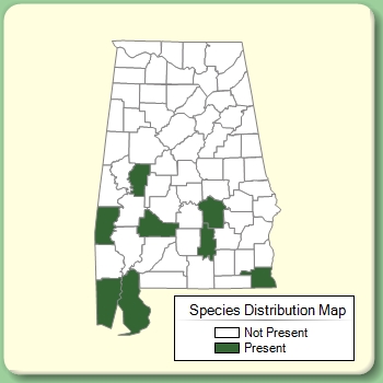 Species Distribution Map