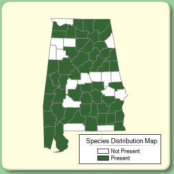 Species Distribution Map