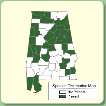 Species Distribution Map