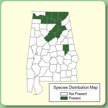 Species Distribution Map