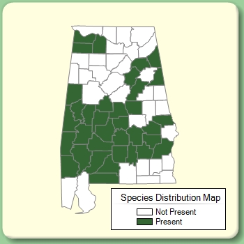 Species Distribution Map