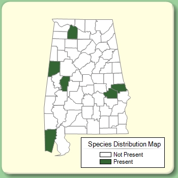 Species Distribution Map