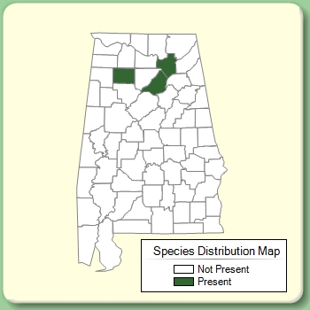 Species Distribution Map