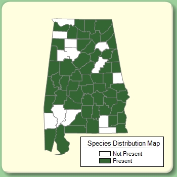 Species Distribution Map