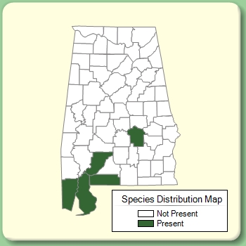 Species Distribution Map