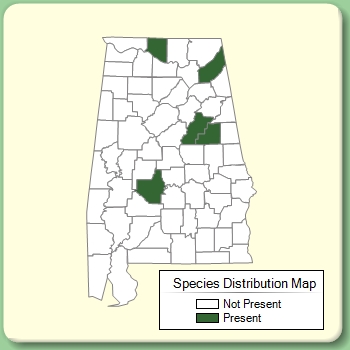 Species Distribution Map