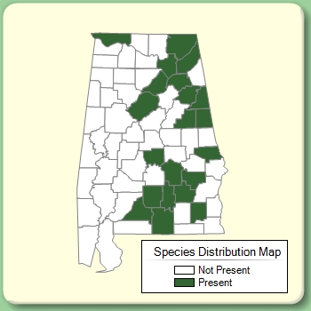 Species Distribution Map