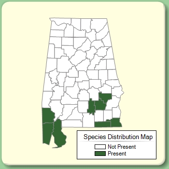 Species Distribution Map